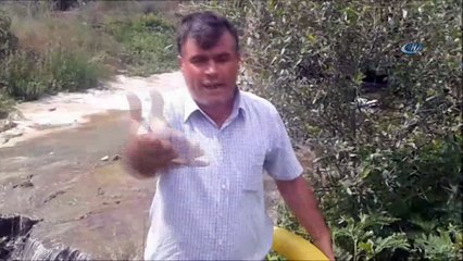 Güpegündüz yaşanan hırsızlık mahalle muhtarını çileden çıkardı