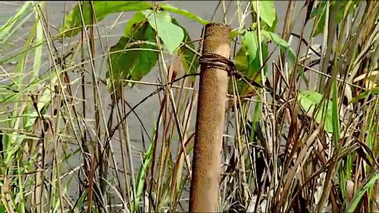 Warriors of the Sea, Protective Spirits | Tribes - Planet Doc Full Documentaries