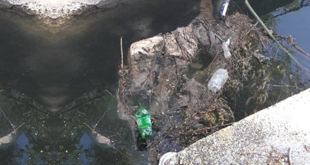 Konya'da Başı ve Kolu Kesik Kadın Cesedi Bulundu