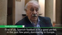 Spanish football in dominant period - del Bosque