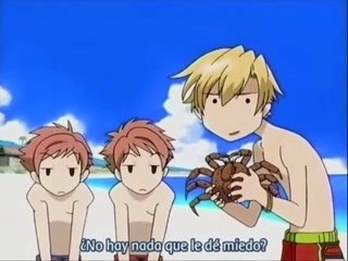 Ouran high school host club