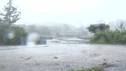 [날씨] 올여름, 폭염일수 늘고 국지성 호우 잦다 / YTN