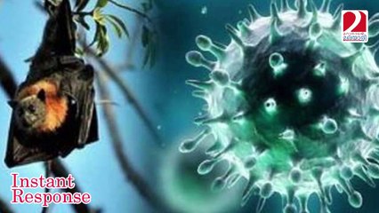 About nipah virus government issues I Instant Response
