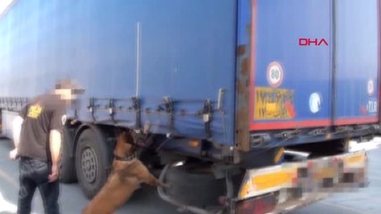 İstanbul'da 440 Kilogram Uyuşturucu Madde Ele Geçirildi