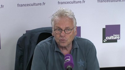 Daniel Cohn-Bendit : "C'est des mouvements qui s'appuient sur ce qu'ils ressentent comme pulsion populaire."