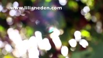 A Path of Least Resistance - Guided Meditation With Lilian Eden