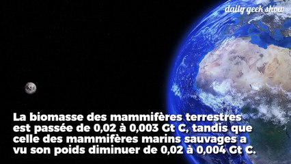 La moitié de la vie sur Terre a disparu depuis le début de la civilisation humaine