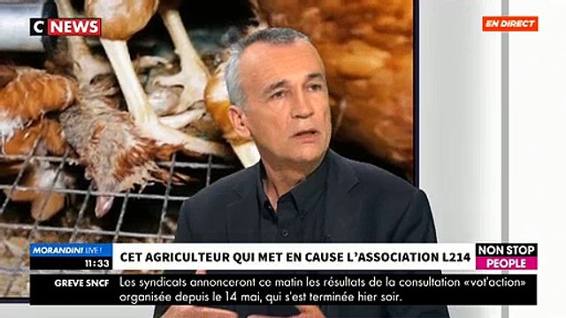 EXCLU - Animaux: Le vice-président de la FNSEA du Cher accuse l'association L214 de truquer ses reportages avec des images de l'étranger - VIDEO