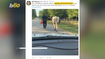 Texas Deputy 'Grabs Bull by the Horns' and Walks It Home