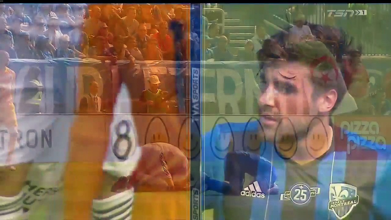 Zlatan Ibrahimovic exclu après avoir donné une gifle à un adversaire