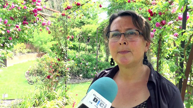 Alpes-de-Haute-Provence : Rendez-vous dans les jardins de Salagon