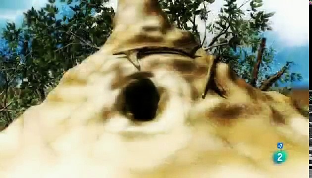 ATERRADORES ATAQUES DE LEOPARDOS ,JABALIES ,TIGRE,HIENAS,COCODRLOS MUNDO SALVAJE part 2/2