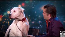 Dog sings Whitney Houston on Belgium's Got Talent 2015 (Audition)