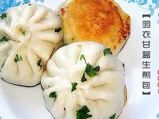 【田园时光美食】羽衣甘蓝生煎包（水煎包） Pan Fried Bun Stuffed with Pork and kale