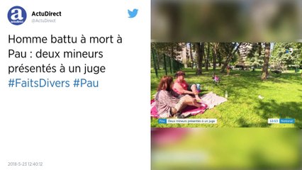 Homme battu à mort à Pau. Deux mineurs mis en examen pour homicide.