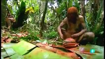 Tve documentales animales salvajes: Cazando en El Amazonas part 3/3