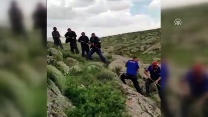 Kayalıklara sıkışan at kurtarıldı - SİVAS