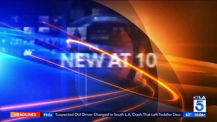 Man Allegedly Posed as Immigration Lawyer to Prey on Women