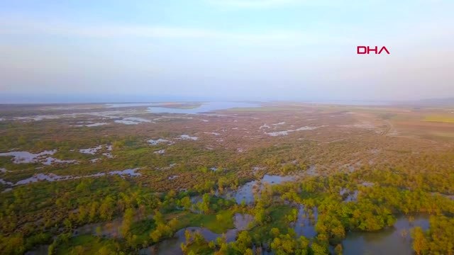 Bursa Karacabey Longozu'nda Görsel Şölen