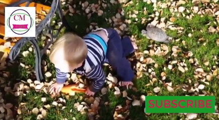 Cute Cats and Dogs Love Babies Compilation (2018) CM WORLD