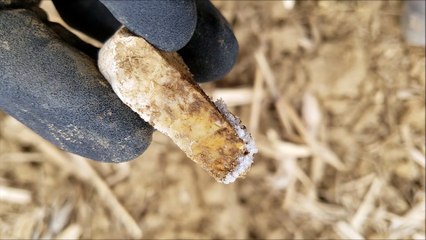 arrowhead hunting 2-3-2018