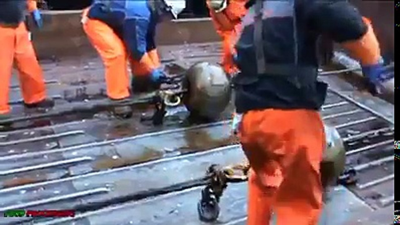 Food Processing - Fish Hunting and Processing