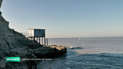 Découvertes - L'estuaire, aux portes de l'océan