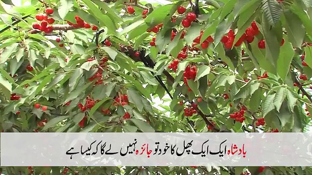 jb 1 badshah ny apni 3 wazeer bula liye achanak