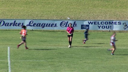 Kangaroo Interrupts Rugby Game