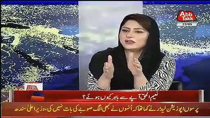 Naeem ul Haq's Attack Was Pre-Planned- Danyal Aziz Claims