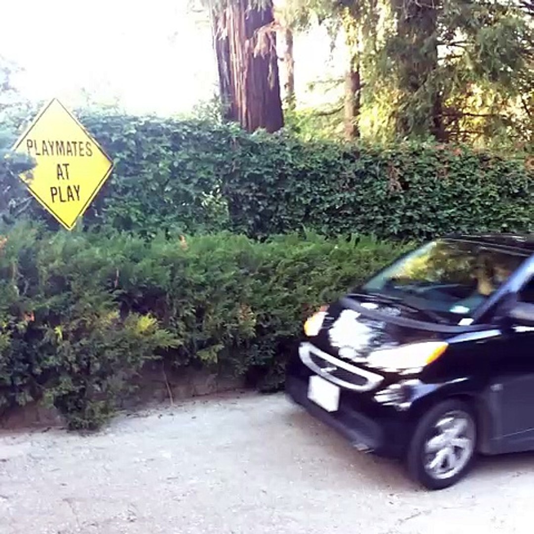 ⁣Amanda Cerny  Logan Paul , JÉRÔME JARRE , Crystal Hefner , Kayla Collins  & Rhodes411 Vine