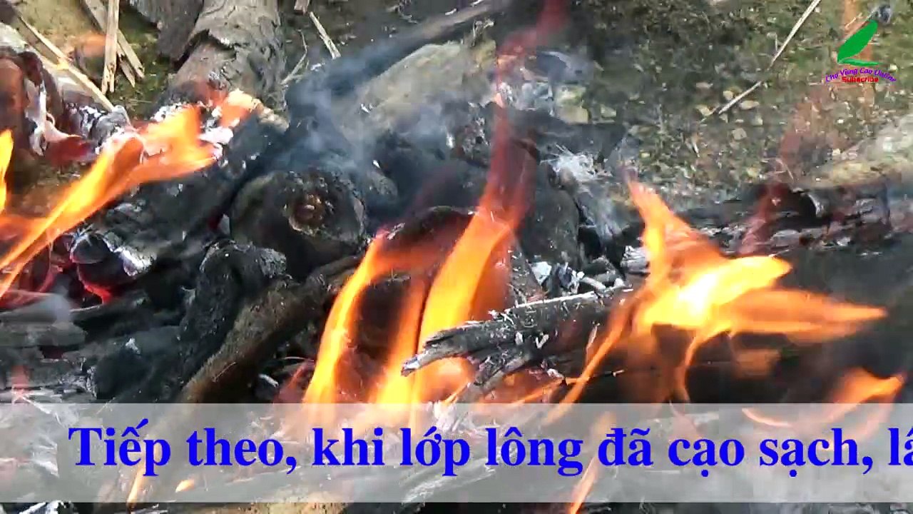 Rót nước miếng khi xem người Hơ Mông chế biến da trâu và nậm pịa