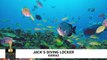Readers Choice 2018 - Jacks Diving Locker