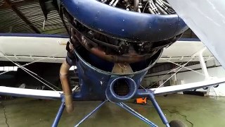 Antonov AN2 AN-2 Engine start up after 1,5 year 4K