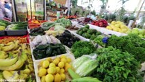 LATIN FOOD HEAVEN at HUGE Farmers Market | Homestead, Florida