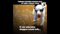 Things Puppies Would Say If They Could Talk