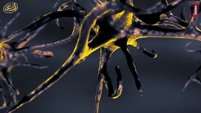 Непристойные фильмы.