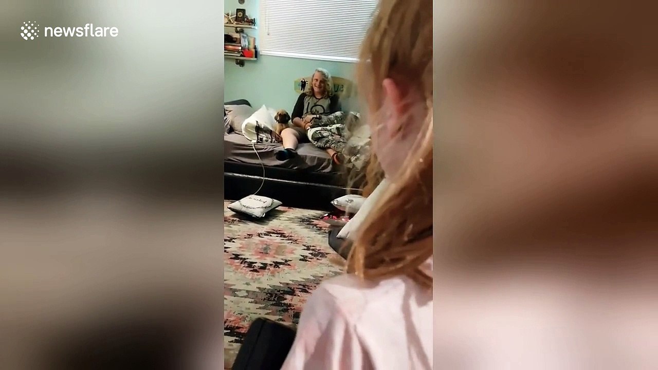 Girl’s reaction to getting a surprise Great Dane puppy will melt your heart