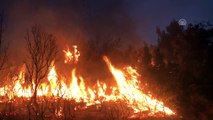 Seydikemer'deki orman yangını kontrol altına alındı - MUĞLA