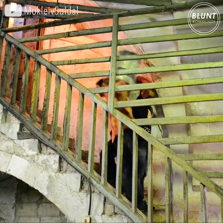 It is so fascinating! See how fast he wrapped those bars