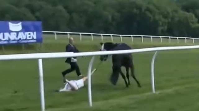 Une journaliste sportive attrape un cheval sans jockey