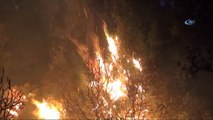 Seydikemer'de orman yangını: 20 hektar alan yandı