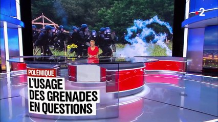 NDDL : l'usage des grenades en questions