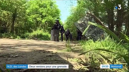 Notre-Dame-des-Landes : deux versions pour une grenade