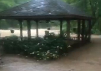 Heavy Rain Turns Georgia Creek Into Raging River