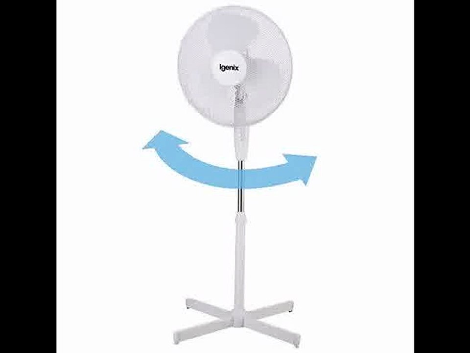 [- Igenix DF1655 Pedestal Oscillating 3-Speed Fan with Mesh Safety Grill, 16-Inch, 50 W, White  -]