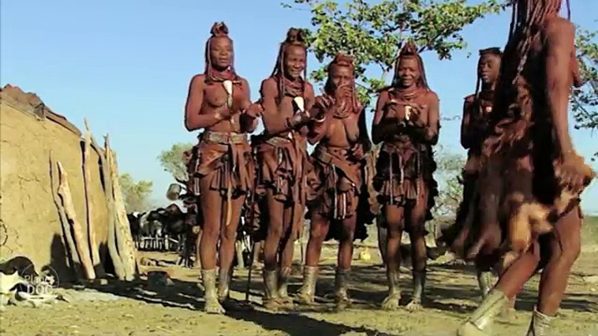 ⁣Relationship & Animal Mating | Nomadic Tribes - Documentary