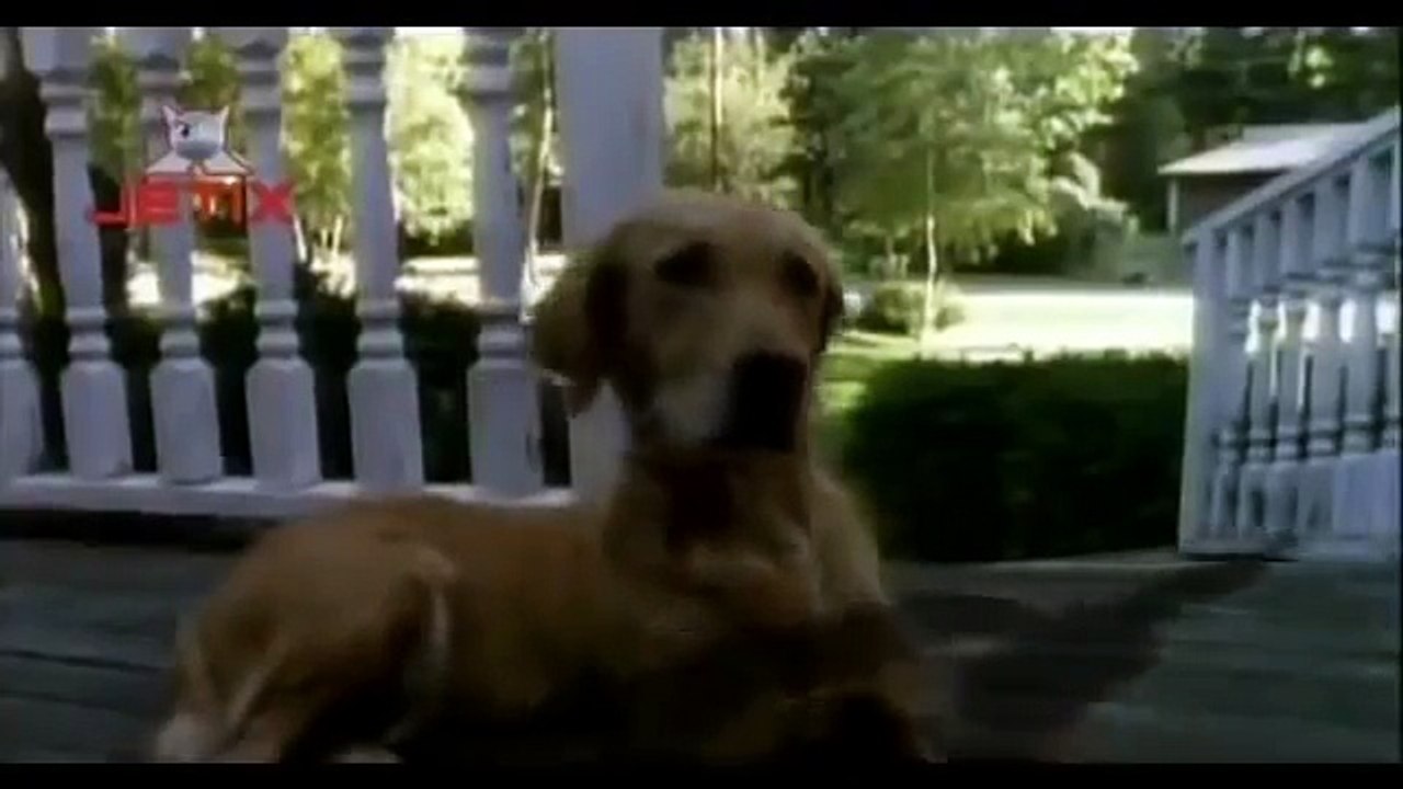 Goosebumps Attack Of The Jack O Lanterns