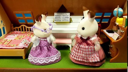 Морская вечеринка на круизном корабле! Мультик с игрушками Sylvanian Families