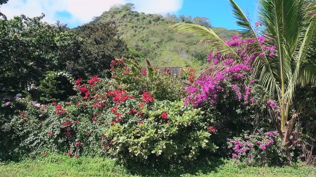 We Sailed Across The Pacific Ocean! (Real Time Update)